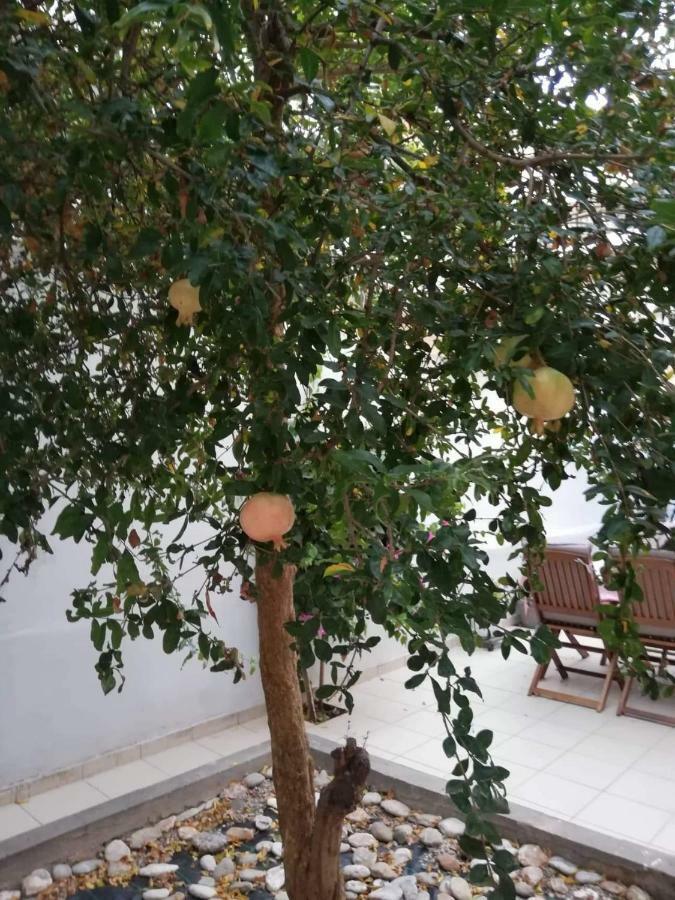 Pomegranate Apartment Ηράκλειο Κρήτης Εξωτερικό φωτογραφία